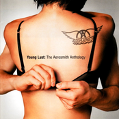 My Fist Your Face by Aerosmith