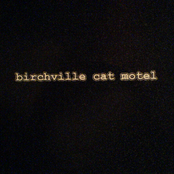 Transparent Soul Fragment by Birchville Cat Motel