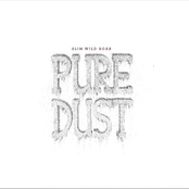 Pure Dust
