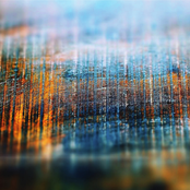 Resplendent In The Light Of The Universe