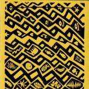 De Wandelende Tak in Burkina Faso