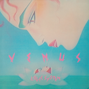 Venus by Logic System