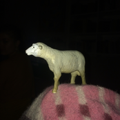 Air Is Getting Stranger