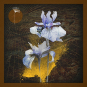 Close [Safar (FR) Remix]