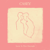 Love Is Not Enough Album Picture