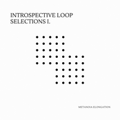 introspective loop selections I.