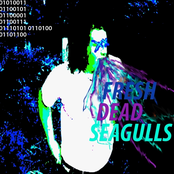 Fresh Dead Seagulls