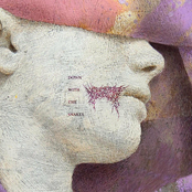 DOWN WITH THE SNAKES