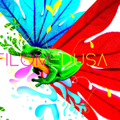 Filomedusa II