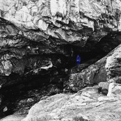 Bellwether and Swine