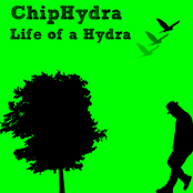 Shufflexqh by Chiphydra