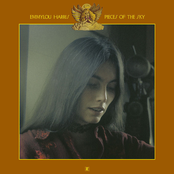 Emmylou Harris: Pieces of the Sky