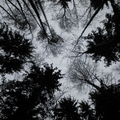 i'm sorry for existing