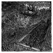Radiation Vomit / Heinous split