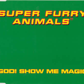 Death By Melody by Super Furry Animals