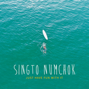 Just Have Fun With It