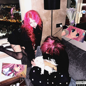 Ночная кошка