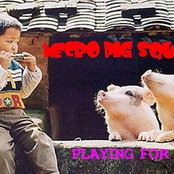 Necro Pig Squad