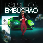 Los Bolsillos Embuchao