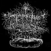 Concentration Camps Are Back Again