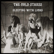 The Cold Stares: Sleeping with Lions