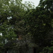 DAGGRS: How Could This Get Any Worse?