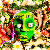 Schallplatten der Unergr​ü​ndlich B​ü​ng​ü​s