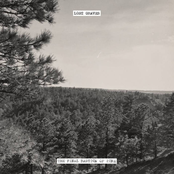 The Final Bastion of Pine