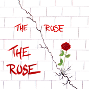 The Rose