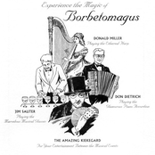 Experience The Magic