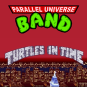 Turtles In Time