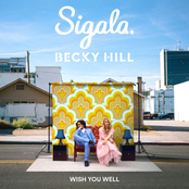 Sigala: Wish You Well