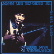 Blues With a Vengeance