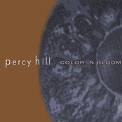 Percy Hill: Color In Bloom