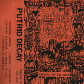 Feeding Off the Dead