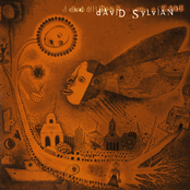 Wanderlust by David Sylvian