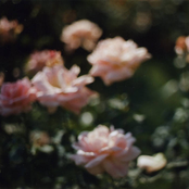 "Songs From July-January, 2008-2009"