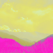 International Colouring Contest