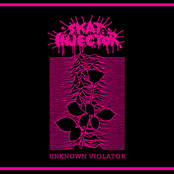 Unknown Violator