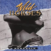 Wild Horses: Bareback