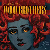 Sing About It by The Wood Brothers