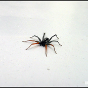 Full-length Electro, House and Trance Sets