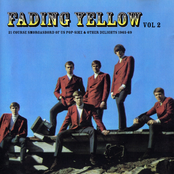 Fading Yellow, Vol. 2: 21 Course Smorgasbord of US Pop-Sike & Other Delights 1965-69
