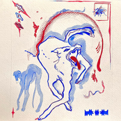 Death of a Fly - Single