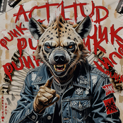 Actitud Punk