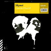 Catherine Wheel by Skynet