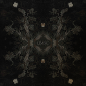 Limbic