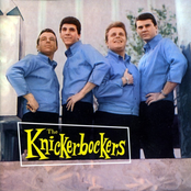 Is That What You Want by The Knickerbockers
