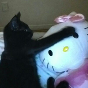 devilish kitty (feat. e5)