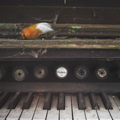 More Is Not The Answer